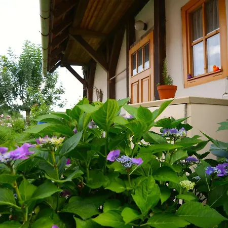 Selanka Off Road Hill View Camping