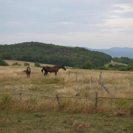Selanka Off Road Hill View *