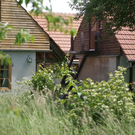 Camping Selanka Off Road Hill View