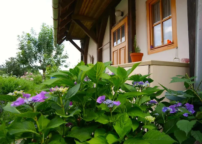 Selanka Off Road Hill View Camping