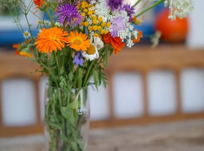 Campeggio Selanka Off Road Hill View *