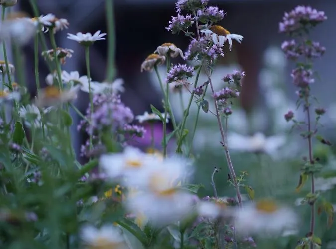 Campeggio Selanka Off Road Hill View *