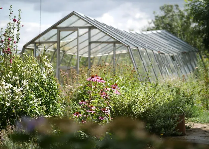 Selanka Off Road Hill View Camping Moravske Lieskove